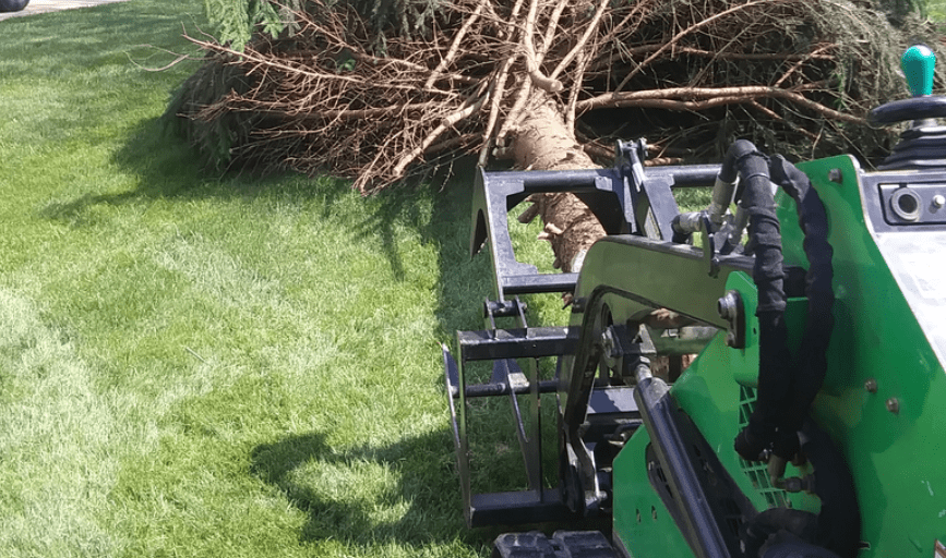 Grays Tree Service 